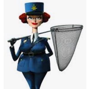 Meet your Posher, Logan